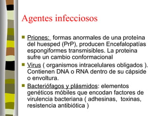 Agentes infecciosos
   Priones: formas anormales de una proteìna
    del huesped (PrP), producen Encefalopatías
    espongiformes transmisibles. La proteina
    sufre un cambio conformacional
   Virus ( organismos intracelulares obligados ).
    Contienen DNA o RNA dentro de su cápside
    o envoltura.
   Bacteriófagos y plásmidos: elementos
    genéticos móbiles que encodan factores de
    virulencia bacteriana ( adhesinas, toxinas,
    resistencia antibiótica )
 