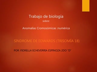 Trabajo de biología
sobre:
Anomalías Cromosómicas :numérica
SINDROME DE EDWARDS (TRISOMÍA 18)
POR :FIORELLA ECHEVERRIA ESPINOZA 2DO “D”
 