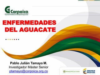 ENFERMEDADES
DEL AGUACATE
Pablo Julián Tamayo M.
Investigador Máster Senior
ptamayo@corpoica.org.co
 