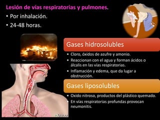 Lesión de vías respiratorias y pulmones. 
• Por inhalación. 
• 24-48 horas. 
Gases hidrosolubles 
• Cloro, óxidos de azufre y amonio. 
• Reaccionan con el agua y forman ácidos o 
álcalis en las vías respiratorias. 
• Inflamación y edema, que da lugar a 
obstrucción. 
Gases liposolubles 
• Oxido nitroso, productos del plástico quemado. 
• En vías respiratorias profundas provocan 
neumonitis. 
 