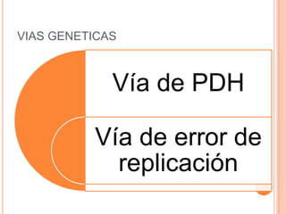VIAS GENETICAS



             Vía de PDH

          Vía de error de
            replicación
 
