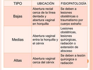 TIPO        UBICACIÓN        FISIOPATOLOGÍA
         Abertura rectal      Se deben a
         cerca de la línea    lesiones
Bajas    dentada y            obstétricas o
         abertura vaginal     traumatismo por
         en horquilla         cuerpo extraño
                              Lesiones
                              obstétricas,
         Abertura vaginal     lesiones
Medias   entra la horquilla y quirúrgicas,
         el cérvix            radiación o
                              extensión de
                              absceso
                              Se deben a lesión
         Abertura vaginal     quirúrgica o
Altas    cerca del cérvix     radiación
 