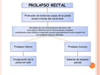 PROLAPSO RECTAL

            Protrusión de todas las capas de la pared
                  rectal a través del canal anal.


                 Resultado de una intususcepción del recto o del
              recto sigma. Mientras que la intususcepción progresa
 caudalmente, este intestino invaginado arrastra gradualmente el recto superior de
                          sus sostenes sacros y laterales.




Prolapso interno                                              Prolapso mucoso




Invaginación de la                                          Saliente de espesor
  pared sin salir                                                  parcial
 
