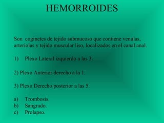HEMORROIDES
Son coginetes de tejido submucoso que contiene venulas,
arteriolas y tejido muscular liso, localizados en el canal anal.
1) Plexo Lateral izquierdo a las 3.
2) Plexo Anterior derecho a la 1.
3) Plexo Derecho posterior a las 5.
a) Trombosis.
b) Sangrado.
c) Prolapso.
 