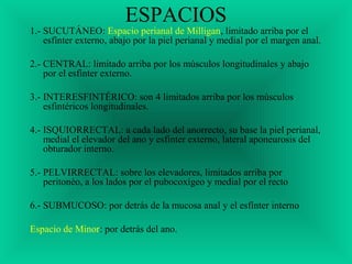 ESPACIOS
1.- SUCUTÁNEO: Espacio perianal de Milligan, limitado arriba por el
esfínter externo, abajo por la piel perianal y medial por el margen anal.
2.- CENTRAL: limitado arriba por los músculos longitudinales y abajo
por el esfínter externo.
3.- INTERESFINTÉRICO: son 4 limitados arriba por los músculos
esfintéricos longitudinales.
4.- ISQUIORRECTAL: a cada lado del anorrecto, su base la piel perianal,
medial el elevador del ano y esfinter externo, lateral aponeurosis del
obturador interno.
5.- PELVIRRECTAL: sobre los elevadores, limitados arriba por
peritonéo, a los lados por el pubocoxígeo y medial por el recto
6.- SUBMUCOSO: por detrás de la mucosa anal y el esfínter interno
Espacio de Minor: por detrás del ano.
 