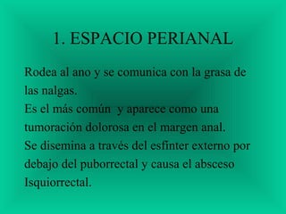 1. ESPACIO PERIANAL
Rodea al ano y se comunica con la grasa de
las nalgas.
Es el más común y aparece como una
tumoración dolorosa en el margen anal.
Se disemina a través del esfínter externo por
debajo del puborrectal y causa el absceso
Isquiorrectal.
 