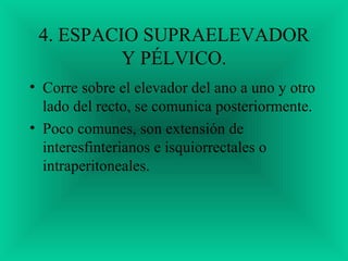 4. ESPACIO SUPRAELEVADOR
Y PÉLVICO.
• Corre sobre el elevador del ano a uno y otro
lado del recto, se comunica posteriormente.
• Poco comunes, son extensión de
interesfinterianos e isquiorrectales o
intraperitoneales.
 