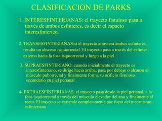 CLASIFICACION DE PARKS
1. INTERESFINTERIANAS: el trayecto fistuloso pasa a
través de ambos esfínteres, es decir el espacio
interesfinterico.
2. TRANSESFINTERIANAS:si el trayecto atraviesa ambos esfinteres,
resulta un absceso isquiorrectal. El trayecto pasa a través del esfínter
externo hacia la fosa isquiorrectal y luego a la piel
3. SUPRAESFINTERIANO: cuando inicialmente el trayecto es
interesfinteriano, se dirige hacia arriba, pasa por debajo o alcanza el
músculo puborrectal y finalmente forma su orificio fistuloso
secundario en piel perianal
4- EXTRAESFINTERIANAS: el trayecto pasa desde la piel perianal, a la
fosa isquiorrectal a través del músculo elevador del ano y finalmente al
recto. El trayecto se extiende completamente por fuera del mecanismo
esfinteriano
 