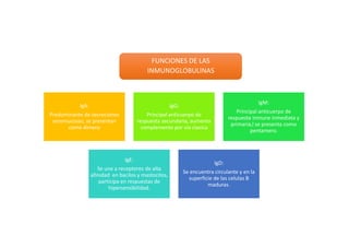 IgA
IgA:
Predominante de secreciones
seromucosas, se presentan
como dimero
JgG:
Principal anticuerpo de
respuesta secundaria, aumenta
complemento por via clasica
IgM:
Principal anticuerpo de
respuesta inmune inmediata y
primaria,l se presenta como
pentamero.
IgE:
Se une a receptores de alta
afinidad en bacilos y mastocitos,
participa en respuestas de
hipersensibilidad.
IgD:
Se encuentra circulante y en la
superficie de las celulas B
maduras.
FUNCIONES DE LAS
INMUNOGLOBULINAS
 