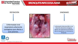 BRONQUITISINFECCIOSAAVIAR
DEFINICION
Enfermedad viral
respiratoria altamente
contagiosa que afecta a
aves jóvenes.
SINONIMO
La Bronquitis Infecciosa (BI) es una
infección altamente contagiosa,
aguda y de importancia económica
que es causada por un Coronavirus
del grupo.
 