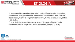 El agente etiológico es el virus de la bronquitis infecciosa aviar. Es un virus
pleomórfico pero generalmente redondeado, con envoltura de 60-200 nm
de diámetro, miembro del género Coronavirus, familia Coronaviridae, orden
Nidovirales.
El virus de la BIA y otros coronavirus aviares de pavos y faisanes están
clasificados dentro del grupo 3 de los coronavirus, (Beiras, A. 2010)
ETIOLOGÍA
 