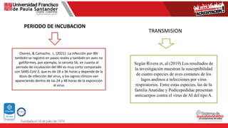 Osores, & Camacho, L. (2021). La infección por IBV
también se registró en pavos reales y también en aves no
galliformes, por ejemplo, la cerceta 56, en cuanto al
período de incubación del IBV es muy corto comparado
con SARS-CoV-2, que es de 18 a 36 horas y depende de la
dosis de infección del virus, y los signos clínicos van
apareciendo dentro de las 24 y 48 horas de la exposición
al virus
Según Rivera et, al (2019) Los resultados de
la investigación muestran la susceptibilidad
de cuatro especies de aves comunes de los
lagos andinos a infecciones por virus
respiratorios. Entre estas especies, las de la
familia Anatidae y Podicepedidae presentan
anticuerpos contra el virus de AI del tipo A.
PERIODO DE INCUBACION
TRANSMISION
 