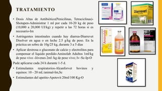 TRATAMIENTO
• Dosis Altas de Antibiótico(Penicilinas, Tetraciclinas)-
Shotapen-Administrar 1 ml por cada 10-20 kg de peso
(10,000 a 20,000 UI/kg) y repetir a las 72 horas si es
necesario-Im
• Astringentes intestinales cuando hay diarrea-Diarrevet
Disolver en agua o en leche 2.5 g/kg de peso. En la
práctica un sobre de 10g/25 kg, durante 3 a 5 días
• Aplicar dextrosa o gluconato de calcio y electrolitos para
compensar el liquido perdido-Aminolab Adultos 1ml/kg
de peso vivo -Jóvenes 2ml /kg de peso vivo; Iv–Sc-Ip-O
Pude aplicarse cada 24 h durante 1-5 d.
• Estimulantes respiratorios-Alcanforvet bovinos y
equinos: 10 - 20 mL/animal-Im,Sc
• Estimulantes del apetito-Apetovit 20ml/100 Kg-O
 