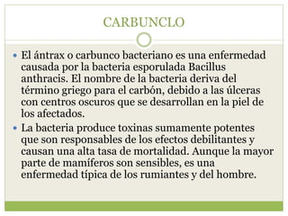 enfermedadesbacterianasenbovinos-160618024110.pdf
