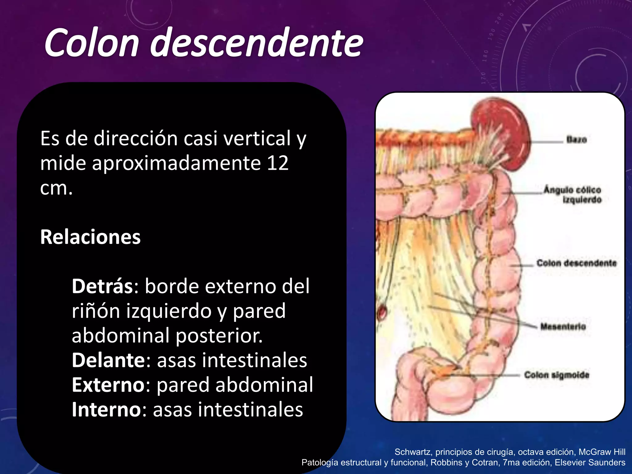 Enfermedades Benignas de Colon CIRUGIA GENERAL | PPT