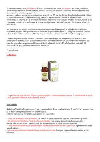 El tratamiento con estos antifúngicos debe ser prolongado, de uno a dos meses, para evitar recaídas y
resistencias al fármaco. Es conveniente, una vez cesados los síntomas, continuar durante al menos una
semana, administrando el preparado.
Algunos criadores, aconsejan un tratamiento aerosol, con 35 grs. de cloruro de sodio (sal común), 100 cc. ,
de solución saturada de yoduro potásico y 900 cc de agua destilada, durante 1-2 horas diarias.
No obstante lo anterior, los diferentes tratamientos en muchas ocasiones no resultan eficaces, debido a las
lesiones de carácter irreversible que se provocan en pulmones, sacos aéreos, etc., haciéndose crónica la
enfermedad.

Las esporas de los hongos son muy resistentes a algunos desinfectantes y al calor (cocer el alimento
mohoso no siempre consigue destruir las esporas). Se puede desinfectar el local y los utensilios con una
solución de sulfato de cobre al 0,5%, dejando pasar varias semanas antes de introducir los pájaros.

También se puede utilizar halamid (cloramina), que no es tóxico, en una proporción de 3 gr. /l para
desinfectar el material, local y el ambiente a diario hasta la total curación, pudiendo estar presentes las
aves. Otros productos recomendables son actifucín a la dosis de 10 ml/l, clorhexidina y alcohol 90º
mezclados y al 10% cada uno en solución acuosa, etc.

Tratamiento:

Tediprima.




5 cc por litro de agua durante 5 días, se puede repetir el tratamiento cada 6 meses. A continuación se les da
3 días agua con vitaminas. Solo alpiste y perilla.


Prevención:

Dada la dificultad del tratamiento, es muy recomendable llevar a cabo medidas de profilaxis. La prevención
es la mejor arma para combatir las enfermedades.
Entre las medidas de prevención destacamos las siguientes:

- Evitar un ambiente cálido y húmedo. En épocas de calor y humedad hay que extremar la vigilancia.
- No administrar semillas o pasta de cría enmohecidas y en general alimentos deteriorados, mal
conservados o caducados. Las toxinas de los hongos pueden producir inmuno supresión.
- Los alimentos húmedos que administremos deben ser renovados varias veces al día, especialmente en el
período cálido.
- No almacenar alimentos durante largos períodos de tiempo. Comprar en pequeñas cantidades, según
consumo.
 
