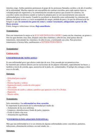 intestino ciego. Ambos parásitos pertenecen al grupo de los protozoos llamados cocidios y de ahí el nombre
de la enfermedad. Muchas especies son susceptibles de contraer coccidias, pero cada especie tiene su
variedad propia de organismos y la contaminación cruzada no parece que ocurran los canarios, los
coccidios suelen encontrarse cuando se realiza la autopsia pero no son necesariamente una causa de
enfermedad grave ni de muerte. Cuando la coccidiasis se desarrolla como enfermedad, los síntomas son
diarrea, a menudo acuosa y a veces acompañada de sangre, pérdida de peso y lo que las diferencia de los
hongos es que, les aumenta las ganas de comer y comen vorazmente, adelgazando a pesar de ello.
Heces acuosas
Estrés, hongos o infecciones víricas, flujo amarillento.

Tratamientos:

Para este tratamiento lo mejor es la SULFAQUINOXALINA SODICA junto con las vitaminas, un gramo x
litro de agua durante cinco días, después cinco días vitaminas y ultra levura, total quince días de
tratamiento, intercalando las vitaminas y la ultra levura, y terminando con estas. Para procimos
tratamientos si hiciera falta, cambiaremos a SEPTRIM PEDIATRICO.


Tratamientos:

Cunisan aviar.

ENFERMEDAD DE NEWCASTLE:

Es una enfermedad grave que afecta a todo tipo de aves. Esta causada por un paramixovirus.
Se transmite por contacto directo con las secreciones de los pájaros infectados, especialmente las heces, y
también a través de comida, agua, accesorios de la jaula, etc. contaminados. El peligro de contagio a otras
aves es elevado.

Síntomas:

- Dificultad para respirar
- Tos
- Diarrea líquida y verdosa
- Supuración nasal y ocular de color pajizo
- Alas caídas
- Torcimiento de cuello y cabeza y parálisis que aparecen a los 10 o 20 días.
- Depresión
- Muerte súbita

Tratamiento:

Solo sintomático. La enfermedad no tiene curación.
Es importante la prevención de la enfermedad por medio de:
- Aislamiento de las aves enfermas.
- Limpieza y desinfecciona a fondo de jaula y pajarera.
- Evitar el estrés a las aves.
- Alimentación equilibrada.

*ENTERITIS O INFLAMACION INTESTINAL:

Más que una enfermedad en sí es un síntoma de algunas enfermedades como: coccidiosis, parásitos,
infecciones, alimentación errónea o en mal estado, etc.…

Síntomas:
 