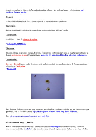 Apatía, somnolencia, diarrea, inflamación intestinal, obstrucción anal por heces, embolamiento, sed
ardiente, falta de apetito.

Causas:

Alimentación inadecuada; infección del agua de bebida o alimentos, parásitos.

Prevención:

Prestar atención a los alimentos que no deben estar estropeados, viejos o rancios.

Tratamiento:

Antibiótico a base de cloruro de colina.

*ATOXOPLASMOSIS:

Síntomas:

Erizamiento de las plumas, diarrea, dificultad respiratoria, problemas nerviosos y muerte (generalmente es
lo que se denomina la seca). Características: aumento del tamaño del hígado e intestinos inflamados.

Tratamiento:

Baycox y Baytril juntos según el prospecto de ambos, suprimir las semillas oscuras de forma paulatina,
administrar Calcicolina.
*HONGOS:




Los síntomas de los hongos, son muy propensos a confundirse con la coccidiosis, por ser los síntomas muy
parecidos, con la salvedad de que el pájaro no quiere comer o come muy poco, casi nada.

Los estreptococos producen heces con muy mal olor.


Evacuación con Sangre (Melena)

Con el término melena se describe a las evacuaciones de color negro (o café muy oscuro), las cuales
suelen ser muy fétidas (mal olor) y de consistencia semilíquida o pastosa. La Melena se produce debido a
 