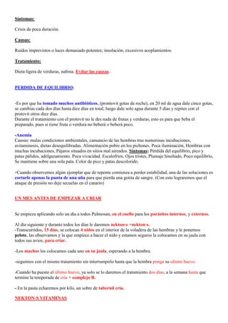 Síntomas:

Crisis de poca duración.

Causas:

Ruidos imprevistos o luces demasiado potentes; insolación, excesivos acoplamientos.

Tratamiento:

Dieta ligera de verduras, nabina. Evitar las causas.


PERDIDA DE EQUILIBRIO:


-Es por que ha tomado muchos antibióticos, (prontovit gotas de roche), en 20 ml de agua dale cinco gotas,
se cambias cada dos días hasta diez días en total, luego dale solo agua durante 5 días y repites con el
protovit otros diez días.
Durante el tratamiento con el protovit no le des nada de frutas y verduras, esto es para que beba el
preparado, pues si tiene fruta o verdura no beberá o beberá poco.

-Anemia
Causas: malas condiciones ambientales, cansancio de las hembras tras numerosas incubaciones,
avitaminosis, dietas desequilibradas. Alimentación pobre en los pichones. Poca iluminación, Hembras con
muchas incubaciones, Pájaros situados en sitios mal aireados. Síntomas: Pérdida del equilibrio, pico y
patas pálidos, adelgazamiento. Poca vivacidad. Escalofríos, Ojos tristes, Plumaje hinchado, Poco equilibrio,
Se mantiene sobre una sola pata. Color de pico y patas descolorido.

-Cuando observemos algún ejemplar que de repente comienza a perder estabilidad, una de las soluciones es
cortarle apenas la punta de una uña para que pierda una gotita de sangre. (Con esto lograremos que el
ataque de presión no deje secuelas en el canario)


UN MES ANTES DE EMPEZAR A CRIAR


Se empieza aplicando solo un día a todos Pulmosan, en el cuello para los parásitos internos, y externos.

Al día siguiente y durante todos los días le daremos nekton-e +nekton-s.
-Transcurridos, 15 días, se colocan 4 nidos en el interior de la voladera de las hembras y le ponemos
pelote, las observamos y la que empiece a hacer el nido y estamos seguros la colocamos en su jaula con
todos sus avios, para criar.

-Los machos los colocamos cada uno en su jaula, esperando a la hembra.

-seguimos con el mismo tratamiento sin interrumpirlo hasta que la hembra ponga su ultimo huevo.

-Cuando ha puesto el último huevo, ya solo se lo daremos el tratamiento dos días, a la semana hasta que
termine la temporada de cría + complejo B.

- En la pasta echaremos por kilo, un sobre de tabernil cría.

NEKTON-S VITAMINAS
 