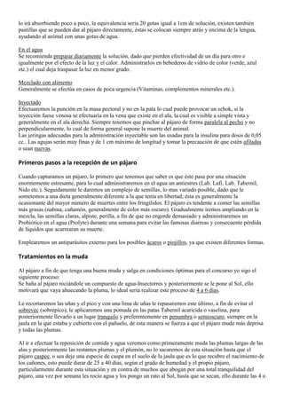 lo irá absorbiendo poco a poco, la equivalencia seria 20 gotas igual a 1cm de solución, existen también
pastillas que se pueden dar al pájaro directamente, éstas se colocan siempre atrás y encima de la lengua,
ayudando al animal con unas gotas de agua.

En el agua
Se recomienda preparar diariamente la solución, dado que pierden efectividad de un día para otro e
igualmente por el efecto de la luz y el calor. Administrarlos en bebederos de vidrio de color (verde, azul
etc.) el cual deja traspasar la luz en menor grado.

Mezclado con alimento
Generalmente se efectúa en casos de poca urgencia (Vitaminas, complementos minerales etc.).

Inyectado
Efectuaremos la punción en la masa pectoral y no en la pata lo cual puede provocar un schok, si la
inyección fuese venosa se efectuaría en la vena que existe en el ala, la cual es visible a simple vista y
generalmente en el ala derecha. Siempre tenemos que pinchar al pájaro de forma paralela al pecho y no
perpendicularmente, lo cual de forma general supone la muerte del animal.
Las jeringas adecuadas para la administración inyectable son las usadas para la insulina para dosis de 0,05
cc.. Las agujas serán muy finas y de 1 cm máximo de longitud y tomar la precaución de que estén afiladas
o sean nuevas.

Primeros pasos a la recepción de un pájaro

Cuando capturamos un pájaro, lo primero que tenemos que saber es que éste pasa por una situación
enormemente estresante, para lo cual administraremos en el agua un antiestres (Lab. Lafi, Lab. Tabernil,
Nido etc.). Seguidamente le daremos un complejo de semillas, lo mas variado posible, dado que le
sometemos a una dieta generalmente diferente a la que tenía en libertad; ésta es generalmente la
ocasionante del mayor número de muertes entre los fringílidos. El pájaro es tendente a comer las semillas
más grasas (nabina, cañamón, generalmente de color más oscuro). Gradualmente iremos ampliando en la
mezcla, las semillas claras, alpiste, perilla, a fin de que no engorde demasiado y administraremos un
Probiótico en el agua (Prolyte) durante una semana para evitar las famosas diarreas y consecuente pérdida
de líquidos que acarrearan su muerte.

Emplearemos un antiparásitos externo para los posibles ácaros o piojillos, ya que existen diferentes formas.

Tratamientos en la muda

Al pájaro a fin de que tenga una buena muda y salga en condiciones óptimas para el concurso yo sigo el
siguiente proceso:
Se baña al pájaro rociándole un compuesto de agua-Insectornis y posteriormente se le pone al Sol, ello
motivará que vaya ahuecando la pluma, lo ideal seria realizar este proceso de 4 a 6 días.

Le recortaremos las uñas y el pico y con una lima de uñas le repasaremos este último, a fin de evitar el
sobrevec (sobrepico), le aplicaremos una pomada en las patas Tabernil acaricida o vaselina, para
posteriormente llevarlo a un lugar tranquilo y preferentemente en penumbra o semioscuro, siempre en la
jaula en la que estaba y cubierto con el pañuelo, de esta manera se fuerza a que el pájaro mude más deprisa
y todas las plumas.

Al ir a efectuar la reposición de comida y agua veremos como primeramente muda las plumas largas de las
alas y posteriormente las restantes plumas y el plumón, no lo sacaremos de esta situación hasta que el
pájaro caspee, o sea deje una especie de caspa en el suelo de la jaula que es lo que recubre el nacimiento de
los cañones, esto puede durar de 25 a 40 días, según el grado de humedad y el propio pájaro,
particularmente durante esta situación y en contra de muchos que abogan por una total tranquilidad del
pájaro, una vez por semana les rocío agua y los pongo un rato al Sol, hasta que se secan, ello durante las 4 o
 