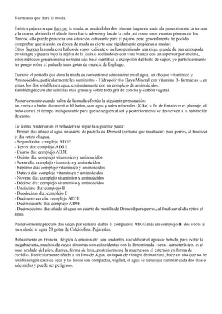 5 semanas que dura la muda.

Existen pajareros que fuerzan la muda, arrancándoles dos plumas largas de cada ala generalmente la tercera
y la cuarta, abriendo el ala de fuera hacia adentro y las de la cola ,así como unas cuantas plumas de los
flancos, ello puede provocar una situación estresante para el pájaro, pero generalmente he podido
comprobar que si están en época de muda es cierto que rápidamente empiezan a mudar.
Otros fuerzan la muda con baños de vapor caliente o incluso poniendo una miga grande de pan empapada
en vinagre y puesta bajo la rejilla de la jaula o rociándoles con vino blanco con un aspersor por encima,
estos métodos generalmente no tiene una base científica a excepción del baño de vapor, yo particularmente
les pongo sobre el pañuelo unas gotas de esencia de Espliego.

Durante el periodo que dura la muda es conveniente administrar en el agua, un choque vitamínico y
Aminoácidos, particularmente les suministro - Hidropolivit o Daya Mineral con vitamina B- farmacias -, en
gotas, los dos solubles en agua, conjuntamente con un complejo de aminoácidos.
También procuro dar semillas más grasas y sobre todo grit de concha y carbón vegetal.

Posteriormente cuando salen de la muda efectúo la siguiente preparación:
los vuelvo a bañar durante 6 o 10 baños, con agua y sales minerales (Kiko) a fin de fortalecer el plumaje, el
baño durará el tiempo indispensable para que se sequen al sol y posteriormente se devuelven a la habitación
de canto.

De forma posterior en el bebedero se sigue la siguiente pauta:
- Primer día: añado al agua un cuarto de pastilla de Droncid (se tiene que machacar) para perros, al finalizar
el día retiro el agua.
- Segundo día: complejo AD3E
- Tercer día: complejo AD3E
- Cuarto día: complejo AD3E
- Quinto día: complejo vitamínico y aminoácidos
- Sexto día: complejo vitamínico y aminoácidos
- Séptimo día: complejo vitamínico y aminoácidos
- Octavo día: complejo vitamínico y aminoácidos
- Noveno día: complejo vitamínico y aminoácidos
- Décimo día: complejo vitamínico y aminoácidos
- Undécimo día: complejo B
- Duodécimo día: complejo B
- Decimotercer día: complejo AD3E
- Decimocuarto día: complejo AD3E
- Decimoquinto día: añado al agua un cuarto de pastilla de Droncid para perros, al finalizar el día retiro el
agua.

Posteriormente procuro dos veces por semana darles el compuesto AD3E más un complejo B, dos veces al
mes añado al agua 20 gotas de Calcicolina. Pajarerías.

Actualmente en Francia, Bélgica Alemania etc. son tendentes a acidificar el agua de bebida, para evitar la
megabacteria, muchos de cuyos síntomas son coincidentes con la denominada - seca - característico, es el
tono azulado del pico, diarrea, forma de bola, posteriormente la muerte con el esternón en forma de
cuchillo. Particularmente añado a un litro de Agua, un tapón de vinagre de manzana, hace un año que no he
tenido ningún caso de seca y las heces son compactas, vigilad, el agua se tiene que cambiar cada dos días o
sale moho y puede ser peligroso.
 