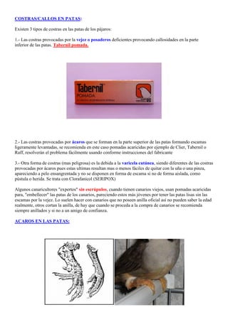 COSTRAS/CALLOS EN PATAS:

Existen 3 tipos de costras en las patas de los pájaros:

1.- Las costras provocadas por la vejez o posaderos deficientes provocando callosidades en la parte
inferior de las patas. Tabernil pomada.




2.- Las costras provocadas por ácaros que se forman en la parte superior de las patas formando escamas
ligeramente levantadas, se recomienda en este caso pomadas acaricidas por ejemplo de Clier, Tabernil o
Raff, resolverán el problema fácilmente usando conforme instrucciones del fabricante

3.- Otra forma de costras (mas peligrosa) es la debida a la varicela cutánea, siendo diferentes de las costras
provocadas por ácaros pues estas ultimas resultan mas o menos fáciles de quitar con la uña o una pinza,
apareciendo a pelo ensangrentada y no se disponen en forma de escama si no de forma aislada, como
pústula o herida. Se trata con Clorafanicol (SERIPOX)

Algunos canaricultores "expertos" sin escrúpulos, cuando tienen canarios viejos, usan pomadas acaricidas
para, "embellecer" las patas de los canarios, pareciendo estos más jóvenes por tener las patas lisas sin las
escamas por la vejez. Lo suelen hacer con canarios que no poseen anilla oficial así no pueden saber la edad
realmente, otros cortan la anilla, de hay que cuando se proceda a la compra de canarios se recomienda
siempre anillados y si no a un amigo de confianza.

ACAROS EN LAS PATAS:
 