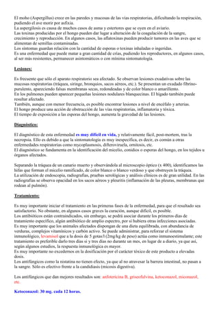 El moho (Aspergillus) crece en las paredes y mucosas de las vías respiratorias, dificultando la respiración,
pudiendo el ave morir por asfixia.
La aspergilosis es causa de muchos casos de asma y estertores que se oyen en el aviario.
Las toxinas producidas por el hongo pueden dar lugar a alteración de la coagulación de la sangre,
crecimiento y reproducción. En algunos casos, las aflatoxinas pueden producir tumores en las aves que se
alimentan de semillas contaminadas.
Los síntomas guardan relación con la cantidad de esporas o toxinas inhaladas o ingeridas.
Es una enfermedad que puede matar a gran cantidad de crías, pudiendo los reproductores, en algunos casos,
al ser más resistentes, permanecer asintomáticos o con mínima sintomatología.

Lesiones:

Es frecuente que sólo el aparato respiratorio sea afectado. Se observan lesiones exudativas sobre las
mucosas respiratorias (tráquea, siringe, bronquios, sacos aéreos, etc.). Se presentan un exudado fibrino-
purulento, apareciendo falsas membranas secas, redondeadas y de color blanco o amarillento.
En los pulmones pueden aparecer pequeñas lesiones nodulares blanquecinas. El hígado también puede
resultar afectado.
También, aunque con menor frecuencia, es posible encontrar lesiones a nivel de encéfalo y arterias.
El hongo produce una acción de obstrucción de las vías respiratorias, inflamatoria y tóxica.
El tiempo de exposición a las esporas del hongo, aumenta la gravedad de las lesiones.

Diagnóstico:

El diagnóstico de esta enfermedad es muy difícil en vida, y relativamente fácil, post-mortem, tras la
necropsia. Ello es debido a que la sintomatología es muy inespecífica, es decir, es común a otras
enfermedades respiratorias como mycoplasmosis, difteroviruela, ornitosis, etc.
El diagnóstico se fundamenta en la identificación del micelio, conidios o esporas del hongo, en los tejidos u
órganos afectados.

Separando la tráquea de un canario muerto y observándola al microscopio óptico (x 400), identificamos las
hifas que forman el micelio ramificado, de color blanco o blanco verdoso y que obstruyen la tráquea.
La utilización de endoscopia, radiografías, pruebas serológicas y análisis clínicos es de gran utilidad. En las
radiografías se observa opacidad en los sacos aéreos y pleuritis (inflamación de las pleuras, membranas que
rodean al pulmón).

Tratamiento:

Es muy importante iniciar el tratamiento en las primeras fases de la enfermedad, para que el resultado sea
satisfactorio. No obstante, en algunos casos graves la curación, aunque difícil, es posible.
Los antibióticos están contraindicados, sin embargo, se podrá asociar durante los primeros días de
tratamiento específico, algún antibiótico de amplio espectro, por si hubiera otras infecciones asociadas.
Es muy importante que los animales afectados dispongan de una dieta equilibrada, con abundancia de
verduras, complejos vitamínicos y carbón activo. Se puede administrar, para reforzar el sistema
inmunológico, levamisol que a la dosis de 5 gotas/l (2mg/kg de peso) actúa como inmunoestimulante; este
tratamiento es preferible darlo tres días si y tres días no durante un mes, en lugar de a diario, ya que así,
según algunos estudios, la respuesta inmunológica es mayor.
Es muy importante no excedernos en la dosificación por el carácter tóxico de este producto a elevadas
dosis.
Los antifúngicos como la nistatina no tienen efecto, ya que al no atravesar la barrera intestinal, no pasan a
la sangre. Sólo es efectivo frente a la candidiasis (micosis digestiva).

Los antifúngicos que dan mejores resultados son: anfotericina B, griseofulvina, ketoconazol, miconazol,
etc.

Ketoconazol: 30 mg. cada 12 horas.
 