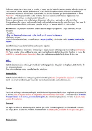 Se llaman megas bacterias porque su tamaño es mayor que las bacterias convencionales, además comparten
características con los hongos. Se instalan en el pro ventrículo (parte que une el buche con la molleja)
dificultando la correcta absorción de los nutrientes, de ahí que el cuadro que producen también se llama
“mal seco” o “enflaquecimiento”. Estas bacterias han sido localizadas en muchas especies de aves:
psitácidas, paseriformes, avestruces, codornices, etc.…
Como se transmite esta enfermedad aún se desconoce. Infecciones realizadas en laboratorio han
demostrado que los pájaros ingleses padecían la enfermedad mientras que los australianos no. Esto pone de
manifiesto que la debilidad genética del ejemplar influye a la hora de adquirir la enfermedad.

Síntomas: En los primeros momentos aparece perdida de peso y depresión. Luego también o pueden
aparecer:
- Vómitos
- Diarrea líquida, el color puede variar desde verde oscuro hasta negro
- Enflaquecimiento
- Cuando la enfermedad está avanzada aparece regurgitación y eliminación en las heces de semillas sin
digerir.

La enfermedad puede afectar tanto a adultos como a pollos.

Tratamiento: El único tratamiento farmacológico efectivo es un antifúngico (el mas usado es anfotericina
B). Puede resultar eficaz acidificar el agua y procurarle alimentos de fácil digestión. También es bueno dar
probióticos y complementos vitamínicos. Con estas medidas aumentarán las defensas de las aves


TIÑA:

Se trata de una micosis cutánea, producida por un hongo parásito del género trichophytor, de la familia de
los gimnoascariáceos.
Esta enfermedad, de menor gravedad que las anteriores.

Transmisión:

Se trata de una enfermedad contagiosa, por lo que habrá que aislar los ejemplares afectados. El contagio
puede ser directo o indirecto, por medio del material contaminado, jaulas, barrotes, etc.



Causas:

La acción del hongo comienza en la piel, posteriormente ingresa en el folículo de las plumas y se desarrolla
el micelio, esto da lugar a la caída de las plumas, produciendo una falsa muda. La localización de la tiña es
frecuentemente en la cabeza, escamas de las patas. La sintomatología consiste por tanto en picor, picaje
y caída de las plumas.

Lesiones:

En la piel se observan pequeños puntos blancos que vistos al microscopio óptico corresponden al micelio
del hongo. Estas lesiones las podemos encontrar sobre la cabeza, patas, alrededor de los ojos, nariz, pico.




Tratamiento:
 