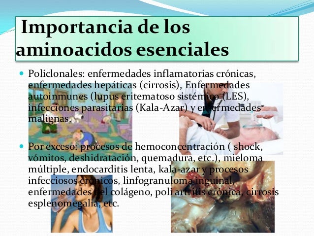 Enfermedades causadas por exeso de proteinas