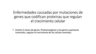 Enfermedades causadas por mutaciones de
genes que codifican proteinas que regulan
el crecimiento celular
• Existen 2 clases de genes: Protooncogenes y los genes supresores
tumorales, regulan el crecimiento de las celulas normales.
 