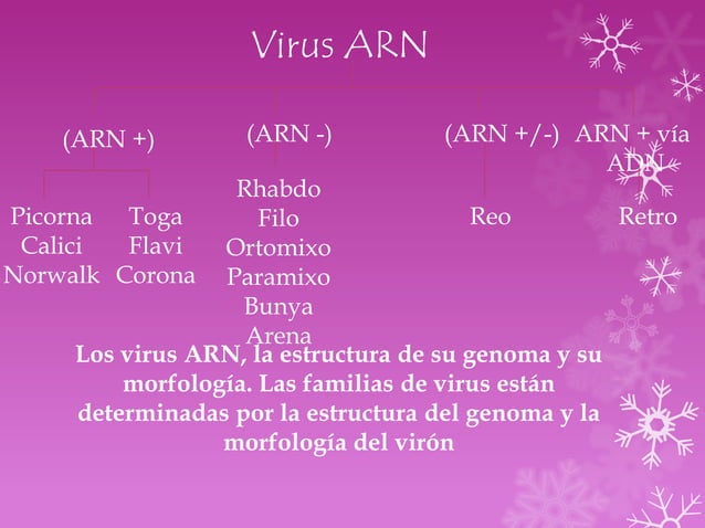 Enfermedades causadas por virus