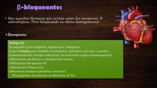 • Son aquellos fármacos que actúan sobre los receptores βadrenérgicos. Pero bloqueando su efecto (antagonismo).
Receptores
Subtipo Β1
La mayoría: post-sinápticos, algunos pre- sinápticos
Lugar: corazón, pero también en plaquetas, glándulas salivales y aparato
Gastrointestinal. (excepto esfínteres). Su activación origina (postsinapticos):
a)Incremento de fuerza y velocidad del corazón.
b)Relajación del aparato GI
c)Agregación Plaquetaria
d)Secreción Amilasa (glándulas salivales)
Presinapticos: incremento en liberación de NA.

 