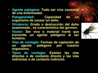 Enfermedades comunes en chile | PPT