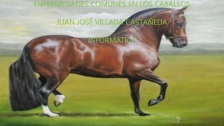 ENFERMEDADES COMUNES EN LOS CABALLOS
JUAN JOSÉ VILLADA CASTAÑEDA
INFORMÁTICA
 