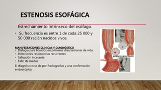 Enfermedades Cong nitas Del Aparato Digestivo pptx enfermedades-cong-nitas-del-aparato-digestivo-pptx