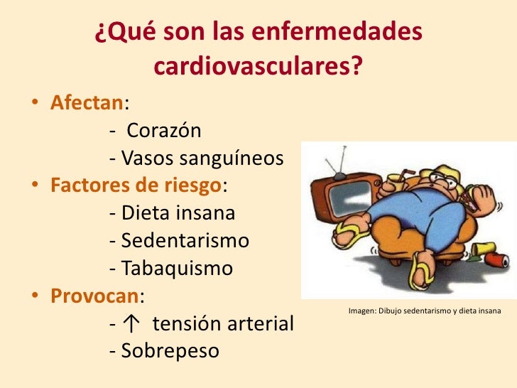 Resultado de imagen para sistema cardiovascular por sobrepeso