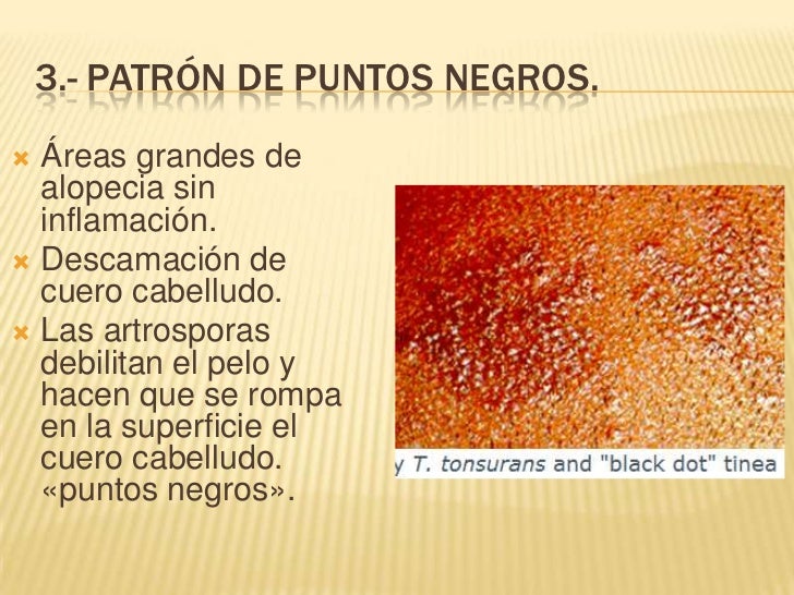 La máscara para los cabellos con el efecto laminirovaniya con el kéfir