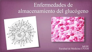 Enfermedades de
almacenamiento del glucógeno
MEPF
Facultad de Medicina UNAM
 
