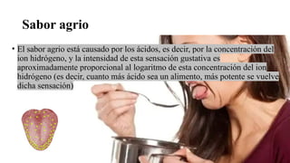Sabor agrio
• El sabor agrio está causado por los ácidos, es decir, por la concentración del
ion hidrógeno, y la intensidad de esta sensación gustativa es
aproximadamente proporcional al logaritmo de esta concentración del ion
hidrógeno (es decir, cuanto más ácido sea un alimento, más potente se vuelve
dicha sensación)
 