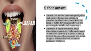 Sabor umami
• Umami, una palabra japonesa que significa
«delicioso», designa una sensación
gustativa agradable que resulta diferente
desde el punto de vista cualitativo de los
sabores agrio, salado, dulce o amargo.
• Umami es el sabor dominante de los
alimentos que contienen l-glutamato, como
los extractos cárnicos y el queso curado, y
algunos fisiólogos lo consideran una quinta
categoría independiente de estímulos
gustativos primarios.
 