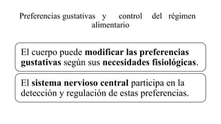 Preferencias gustativas y control del régimen
alimentario
El cuerpo puede modificar las preferencias
gustativas según sus necesidades fisiológicas.
El sistema nervioso central participa en la
detección y regulación de estas preferencias.
 