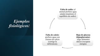 Ejemplos
fisiológicos:
Falta de sodio: el
animal prefiere agua
salada (mantiene el
equilibrio de sodio).
Baja de glucosa
(hipoglucemia):
elige alimentos
dulces (recupera
energía).
Falta de calcio:
prefiere agua con
cloruro de calcio
(corrige la
deficiencia).
 