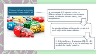 Se ha detectado déficit de esta enzima en
pacientes afectos de enfermedades neoplásicas,
renales, síndrome de intestino corto, y en el
envejecimiento.
La administración de sulfato de cinc por vía oral
puede mejorar el trastorno del sabor.
El déficit de hierro y de vitaminas B12, B2 y B3
en patología digestiva se ha relacionado con una
atrofia de las papilas gustativas.
El zinc es vital para la síntesis de
la anhidrasa carbónica VI (CA VI)
 