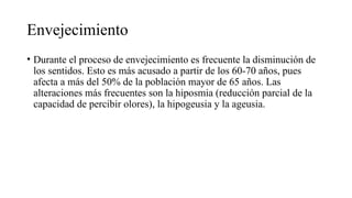 Envejecimiento
• Durante el proceso de envejecimiento es frecuente la disminución de
los sentidos. Esto es más acusado a partir de los 60-70 años, pues
afecta a más del 50% de la población mayor de 65 años. Las
alteraciones más frecuentes son la hiposmia (reducción parcial de la
capacidad de percibir olores), la hipogeusia y la ageusia.
 