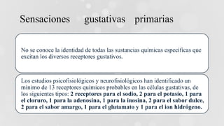Sensaciones gustativas primarias
No se conoce la identidad de todas las sustancias químicas específicas que
excitan los diversos receptores gustativos.
Los estudios psicofisiológicos y neurofisiológicos han identificado un
mínimo de 13 receptores químicos probables en las células gustativas, de
los siguientes tipos: 2 receptores para el sodio, 2 para el potasio, 1 para
el cloruro, 1 para la adenosina, 1 para la inosina, 2 para el sabor dulce,
2 para el sabor amargo, 1 para el glutamato y 1 para el ion hidrógeno.
 