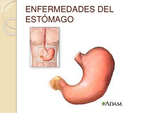 Claro perder peso rapido y natural.blogspot frer con Perder peso rapido y natural.blogspot sientes bien
