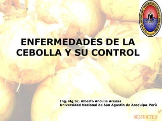 RESTRICTED
ENFERMEDADES DE LA
CEBOLLA Y SU CONTROL
Ing. Mg.Sc. Alberto Anculle Arenas
Universidad Nacional de San Agustín de Arequipa-Perú
 