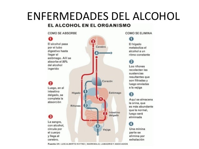 10 Enfermedades Causadas Por El Alcohol Y El Tabaco es.slideshare.net