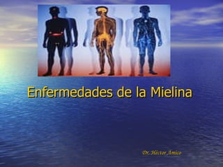 Enfermedades de la Mielina Dr. Héctor Amico 