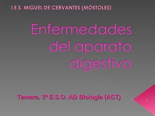 I.E.S. MIGUEL DE CERVANTES (MÓSTOLES) Tamara. 3º E.S.O. AD Biología (ACT) 